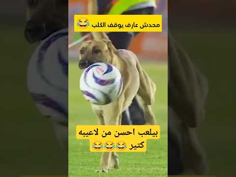 بيلعب احسن من لاعيبه كتير 😂🔥 #football #رونالدو #النصر #اكسبلور #الهلال #ميسي #ريال_مدريد #كرة_القدم
