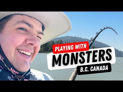 Monster fishing on the Fraser River 4K