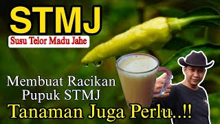 JAMU UNTUK TANAMAN MODAL 2 RIBU RUPIAH