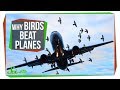 Nature-Inspired Technology and Airplane Stability