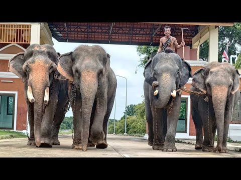 ขอบพระคุณอ้อย ป้านาเมล่อนนะค่ะ🙏🙏🙏