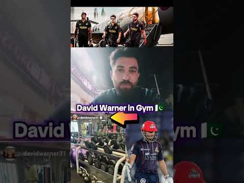 Indian Pakistani public media funny reaction on David Warner latest status in gym Pakistan Vs India