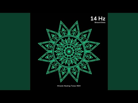 14 Hz - Focused Attention