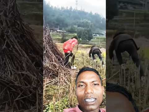#timelapse: START to FINISH Alone BUILD LOG Cabin (Wooden House ) How To Build Wooden Cabin,#love ,