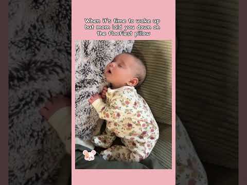 When it's time to wake up but mom laid you down on the floofiest pillow ♥️ pop net usa 🎉 #popnetusa