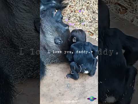 Mobi ❤️ Dad!