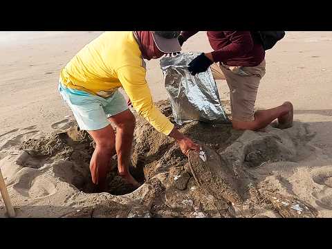 ¡Increíble! Playa Llena de Lenguados, Una jornada de PESCA que Parece un SUEÑO