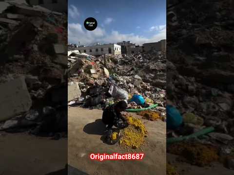 Gaja में बढ़ी लोगों की मुसीबतें 😱😱 || 200 + मस्जिद ध्वस्त  || परिवार को खोने से डर रहे हैं लोग 💯😱