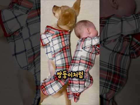 태어날때부터 베스트 프렌드