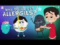 Understanding Allergies