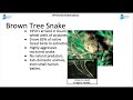 Invasive Species and Their Impact
