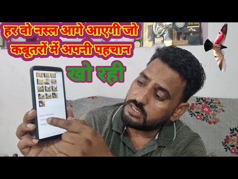 Har Vo Nasal Aage Ayegi jo Kabutaron me Apni Pehchan Kho Rahi