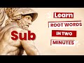 Exploring the Sub- Prefix in English Vocabulary
