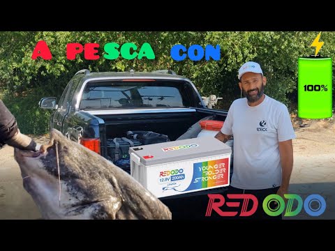 Test in Pesca Verticale delle batterie LiFePo4 by Redodo