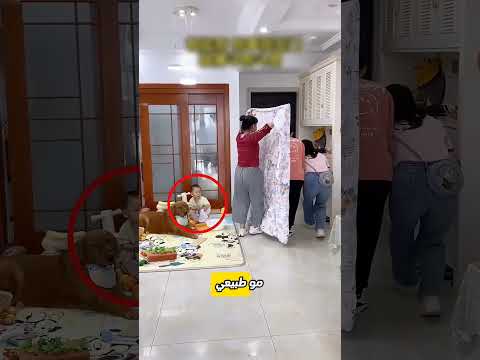 حاولوا يخدعونه.. بس عيونه ما خانته أبدا 👀🕵️