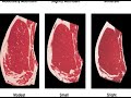 Beef Quality Grading and Characteristics