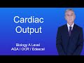 Cardiac Output and Heart Rate Concepts