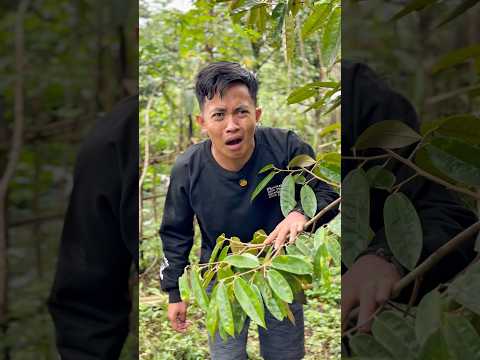 Ayuda Nyai ketakutan melihat kepala menggantung