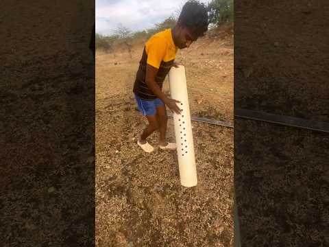 ✨பத்தக்கட்ட மீன்பிடித்தல்✅ pathakattai fish catching #Short's #fishing #seefish #tamil #mannarpavi