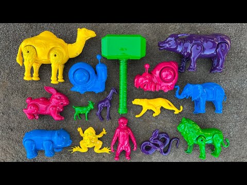 Membersihkan hewan sapi, bebek, angsa, kuda, ayam, gajah, kelinci, kambing, jerapah, citah, panda