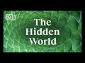 Understanding Symmetry and Beauty in Science