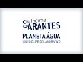 Importância e Ciclo da Água