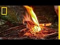 Exploring the Wild with Mick Dodge