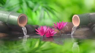 Relaxation Music: Bamboo Water Fountain + Healing Piano 🌿 Sleep Music, Meditation, Nature Sounds