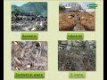 Waste Management Practices and Concepts