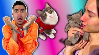 TikTok CosefNastya Cat Videos 😢