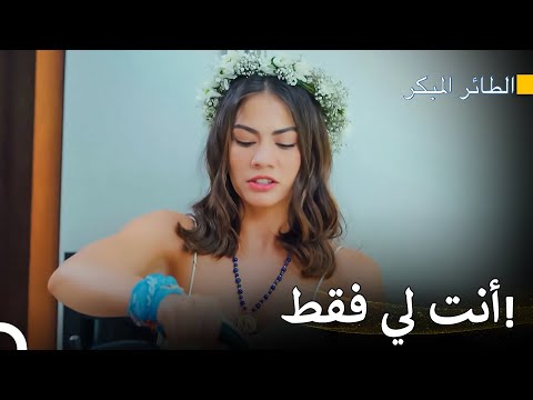 ما هو أخطر من المرأة الغيورة؟ - سلسل الطائر المبكر