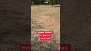 Exsteme Trockenheit in Deutschland geht weiter.