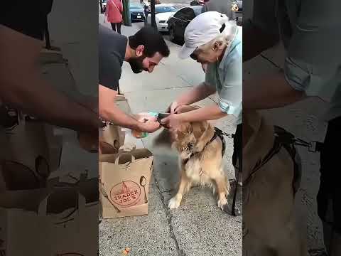 #dog#funny