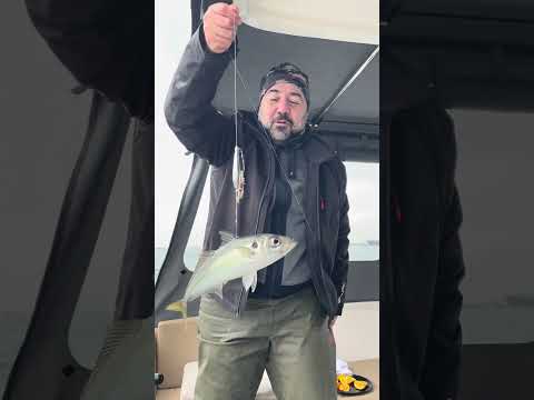 Ata Demirer Yine Boş Geçmedi | Hem Kalbimize Hem Balığa Dokundu!
