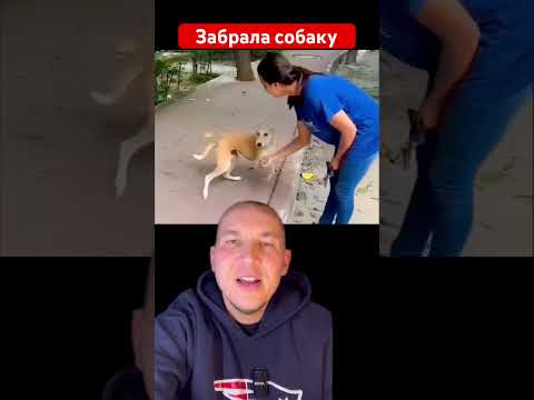 Забрала бездомную собаку