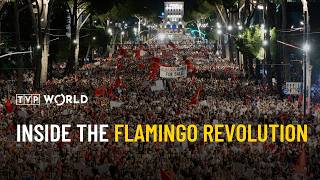YouTube video thumbnail: Inside the Flamingo Revolution – A Report by Natalia Komarow