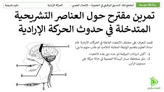 تمرين مقترح لشهادة التعليم المتوسط BEM - العناصر التشريحية المتدخلة في حدوث الحركة الإرادية  -