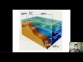 Ocean Zones and Their Characteristics