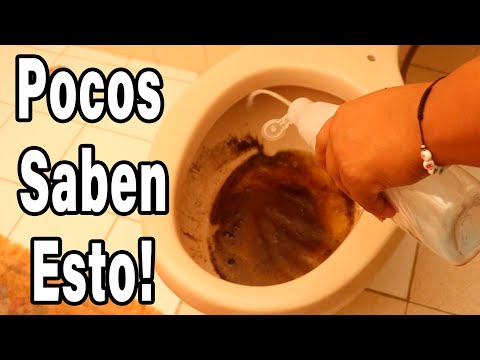 Cómo Limpiar el Baño a Fondo: Elimina Manchas Amarillas y Malos Olores Fácilmente