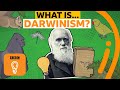 Understanding Darwinism