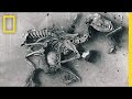 Understanding Dog Burials in Prehistory