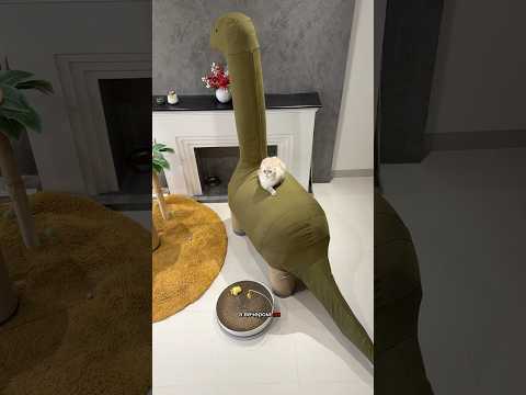 У Лелика новое увлечение 🫠