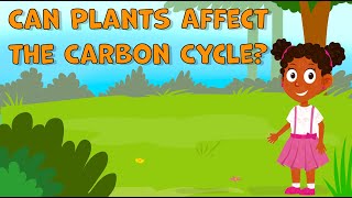 I Wonder Can Plants Affect the Carbon Cycle | Plants Facts for Kids | Fun Facts about Carbon Cycle