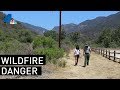 Understanding Wildfires and Invasive Plants