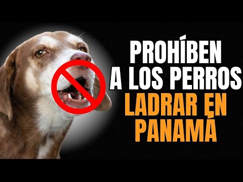 NUEVA Ley en PANAMÁ prohíbe a los perros ladrar después de las 6:00 pm