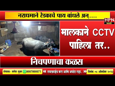 Crime news : निचपणाचा कळस नराधमाने रेडकाचे पाय बांधले अन्..मालकाने CCTV पाहिला तर | HPN MARATHI NEWS