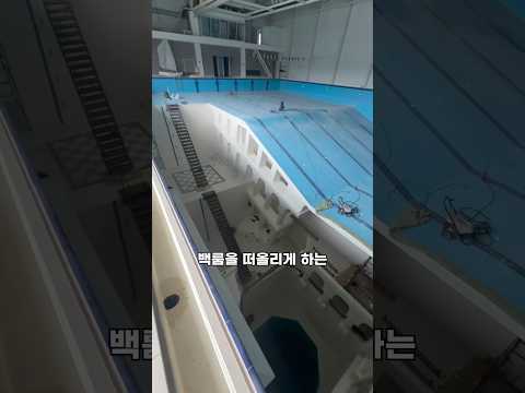 러시아 백룸 수영장