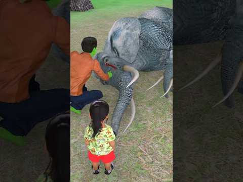 choti anaya ne ki elephant 🐘 ki help #shorts #elephant