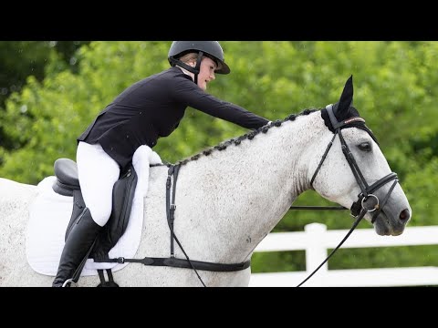 BABY HORSE’S 1ST HORSE TRIAL (dressage test)