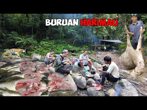 Dapat Rusa Tangkapan Harimau Saat Fishing Camping Ke Hutan Rimba?
